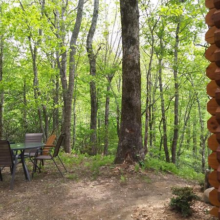 Two Rivers Cabins - The Mountaintop Бревард Екстер'єр фото