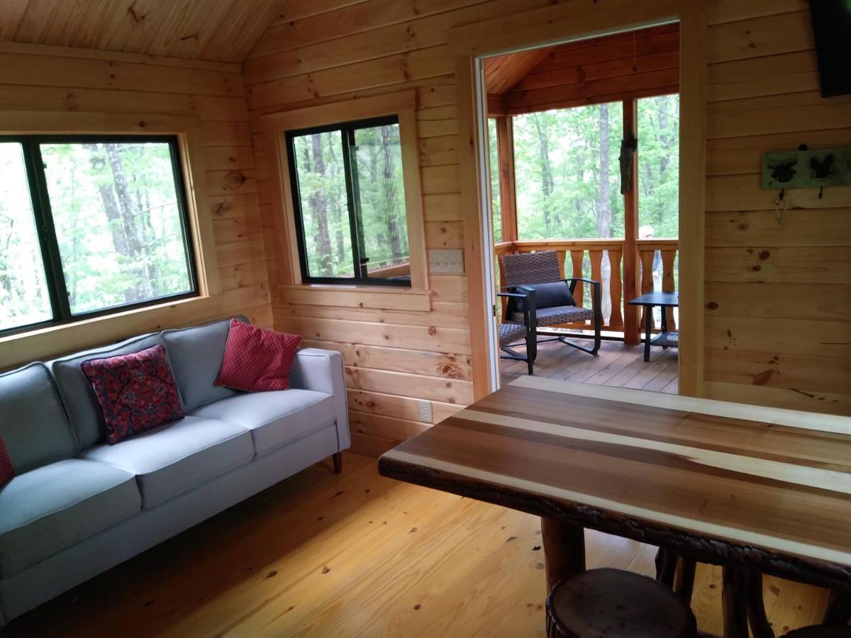 Two Rivers Cabins - The Mountaintop Бревард Екстер'єр фото