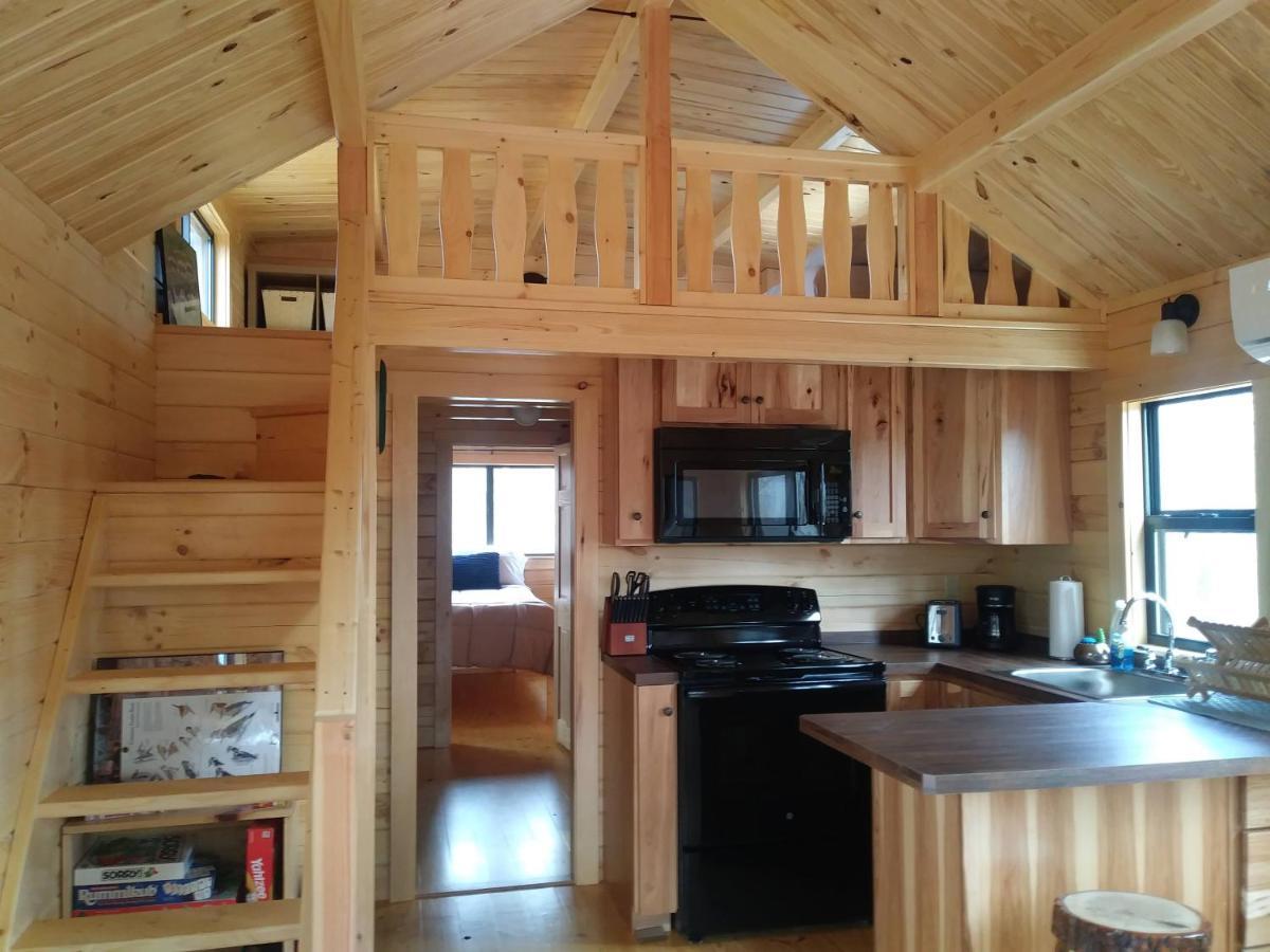 Two Rivers Cabins - The Mountaintop Бревард Екстер'єр фото