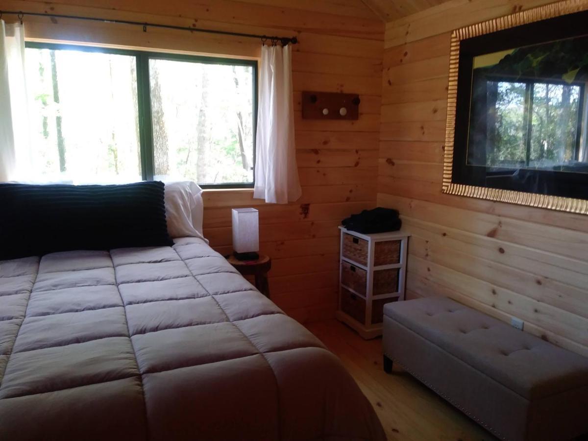 Two Rivers Cabins - The Mountaintop Бревард Екстер'єр фото