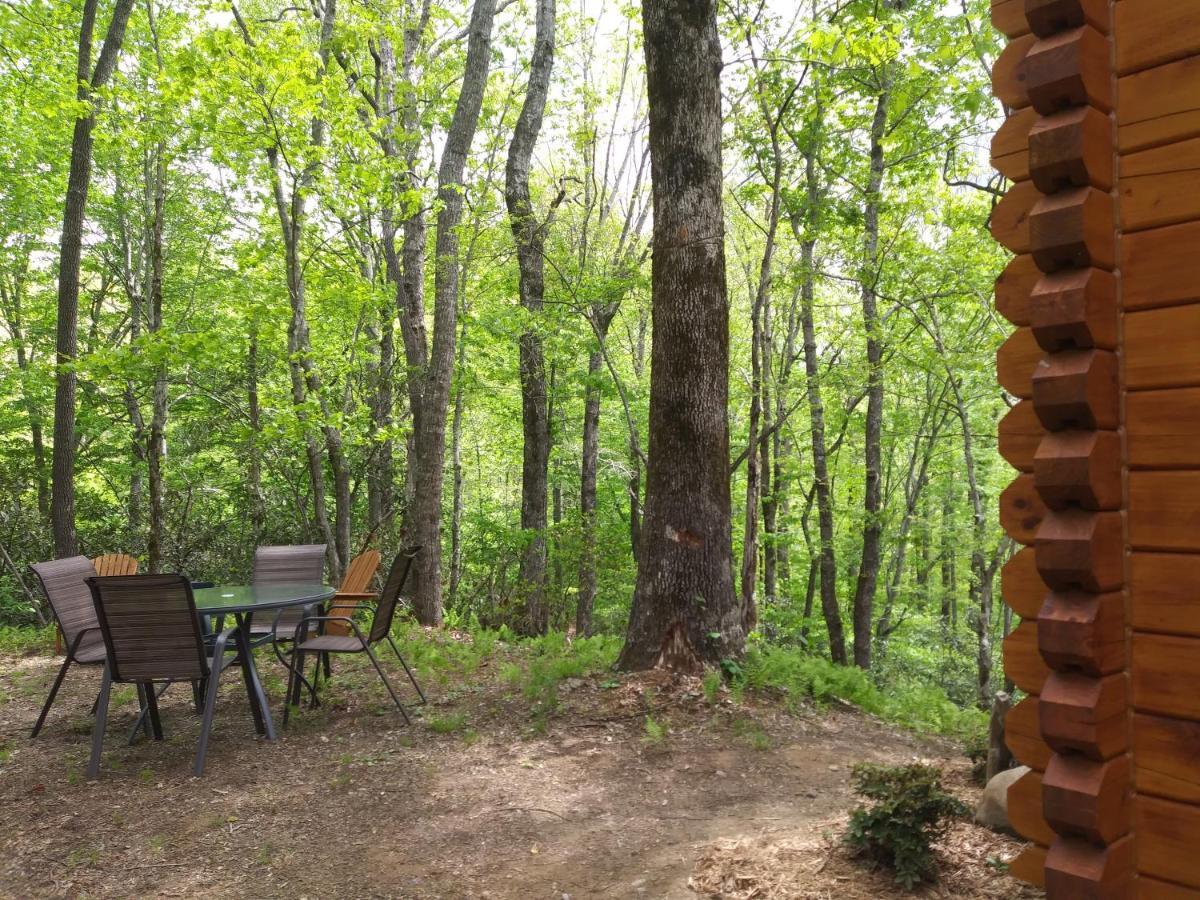 Two Rivers Cabins - The Mountaintop Бревард Екстер'єр фото
